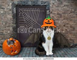 Cat With Bat Wings Near Castle A Cat In A Witch Hat With Bat Wings Is Sitting Near A Door Of An Old Castle For Halloween A Canstock