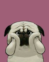 Funny Pug Dog Apple Watch Wallpaper Dog Wallpaper Iphone Pug Wallpaper Apple Watch Wallpaper