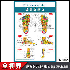 buy foot reflex zone flipchart foot points chart reflexology