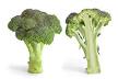 image of Broccoli
