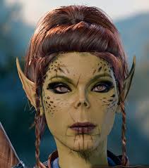 Teman-teman petualangan hemat : r/BaldursGate3