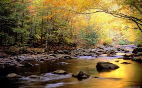 1680x1050 windows 7 in water flow wallpapers hd wallpapers. 3d River Beautiful Pics Widescreen Nature Hd Wallpapers De Flickr