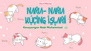 We did not find results for: Nama Nama Kucing Islam 81021 Nama Untuk Kucing Comel Lucu Dan Unik