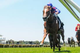 Racing nsw stewards have postponed the golden slipper meeting after heavy overnight rain made rosehill unsafe for racing and a diabolical forecast for further rain on saturday. Assnv8j3n00zwm