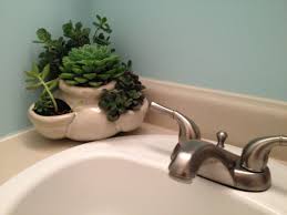 How to grow care for a christmas cactus, a succulent plant that flowers around xmas. Bathroom Succulents Bathroom Plants Indoor Plants Bathroom Indoor Plants Bedroom
