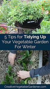 Prepare Your Vegetable Garden For Winter 6 Tasks For Your To Do List Fall Garden Vegetables Vegetable Garden Planner Growing Winter Vegetables