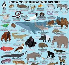 November 3rd May Be Too Late On Twitter Endangered Animals Project Endangered Species Art Endangered Animals
