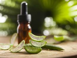 Peaux Grasses L Aloe Vera Une Solution Naturelle Anti Acne Remedes Naturels Aloes Et Creme Cicatrisante