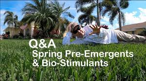 It is often used to prevent crabgrass and other weeds. Spring Lawn Faqs Pre Emergents And Bio Stimulants