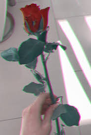 Wir bieten ihnen blumensträuße von 151.00 aed | 41.11 usd. Rote Rose Tumblr Posts Tumbral Com