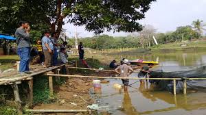 We did not find results for: Desa Sawojajar Lampura Adakan Liga Mancing 2019 Maksimalkan Potensi Embung Desa Jadi Destinasi Ekowisata Lampungvisual Com