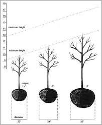 Caliper Size