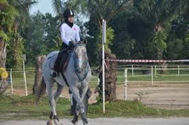 Basic horse sense, safety rules and how to take care and handle the horse. Horse Riding Lessons Denai Alam Shah Alam Selangor