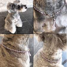 犬用ミサンガ チョーカー ドックアクセサリー ドックネックレス コットン 愛犬 わんこアクセサリー 愛犬グッズ お散歩グッズ dm190901 犬 犬用アクセサリー ペット
