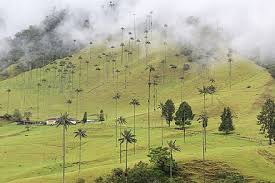 Check spelling or type a new query. Quindio Department Wikiwand