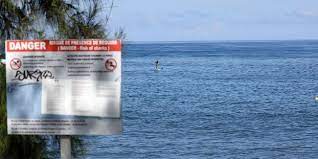 Ce requin atteint 3,8 m de long. Un Surfeur Meurt Apres Une Attaque De Requin A La Reunion