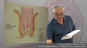 Proctología básica: Anatomía y exploración