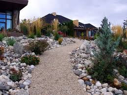 Pin By Dominika Lepak On Gardening Landscaping Xeriscape Landscaping Xeriscape Large Backyard Landscaping