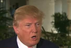 Ed Krassenstein's Video