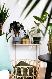 Salon Met Rotan Zetels En Planten In 2020 Decoraties Decoratieve Ladders Plantenstandaard