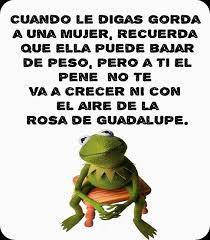 Pin En H