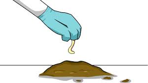 Talpirid mole bait is a new product for killing moles that is worm shaped and resembles a worm in texture and size. 3 Ways To Get Rid Of Moles In Your Lawn Wikihow