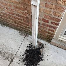 Check spelling or type a new query. Gutter Cleaning Archives Page 2 Of 2 Guaranteed Gutters