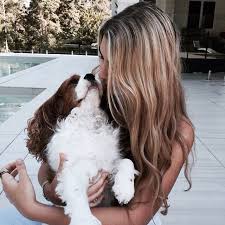 pin ot polzovatelya bambi na doske hair color kotopes spaniel zhivotnye