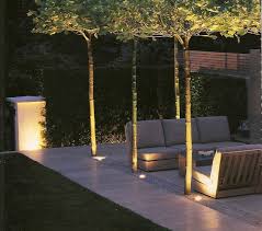 Gym Deck With Trees Lighting Garden Seating Garden Lighting Trees Landscape Lighting
