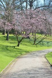 Fruhling Unterm Forderturm Ruhrwohl De Ausflug Ruhrgebiet Stadtpark