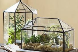Pada musim sejuk, ia dalam hibernasi dan saya melihat beberapa gambar dengan terarium yang dihiasi dengan kerikil. 11 Desain Terrarium Yang Memperindah Rumahmu