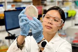 Team — Switch Bioworks