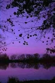 Wallpaper warna ungu for android apk download. 26 Gambar Pemandangan Ungu Terbaru Lingkar Png