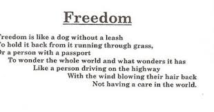  Freedom Simile Poems Example Of Poem Poetry For Kids
