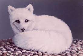 Arctic Fox Painting By Didi Higginbotham Check out our arctic fox painting selection for the very best in unique or custom, handmade pieces from our prints shops.