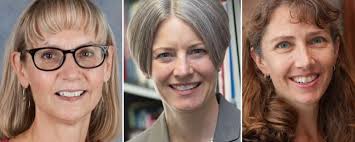 Physical therapy faculty earn accolades