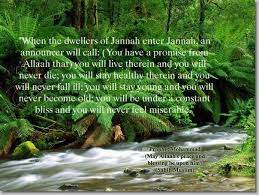 25 Ways To Enter Jannah Paradise Hadith Jannah Quotes Paradise Jannah Quotes