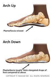 Pin On Body Health