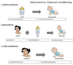 Attachment Theory Simply Psychology Attachment Theory Social Learning Theory Classical Conditioning Psychology