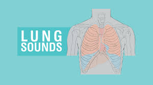 Lung Sounds Breath Sounds Types Causes