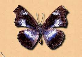 pin on things to wear