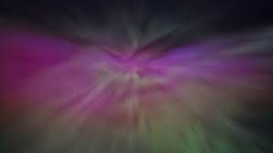 Sarah Mickel Photography (@sarahmickelphotography) · Revelstoke, BC