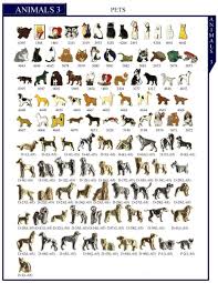 Google Animals Name List Pets Animals