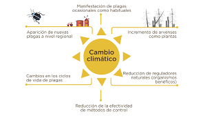 Imágenes de un ciclón visto por satélite y de las marismas del lago carnegie, en el oeste de australia. Impactos Del Cambio Climatico En La Incidencia De Plagas Y Enfermedades De Los Cultivos Croplife Latin America