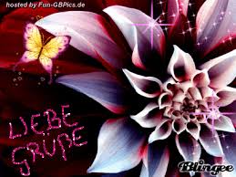 Du bist und wirst meine ewige liebe sein! Liebe Grusse Gif Animiert Facebook Bilder Whatsapp Bilder Gb Bilder Jappy Bilder