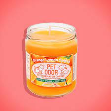 While the viewer can see they're actually in a dungeon of filth that looks like a saw set? Pet Odor Exterminator Candle Review 2018 The Strategist
