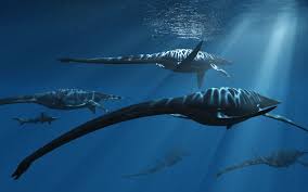 Image result for Elasmosaurus
