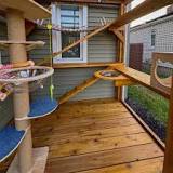 Best Materials for Building a Safe, Long-Lasting Catio