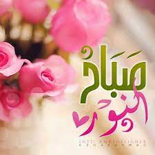 desertrose صباح النور والسرور أحبتي good night messages good morning flowers good morning greetings