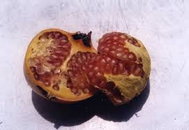 Penelitian terbaru tentang buah delima lebih menekankan pada kulitnya. Tiga Petua Kecantikan Wanita Korea Menggunakan Buah Delima